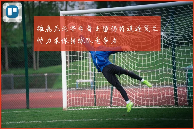 雄鹿无论字母哥去留仍将追逐莫兰特力求保持球队竞争力